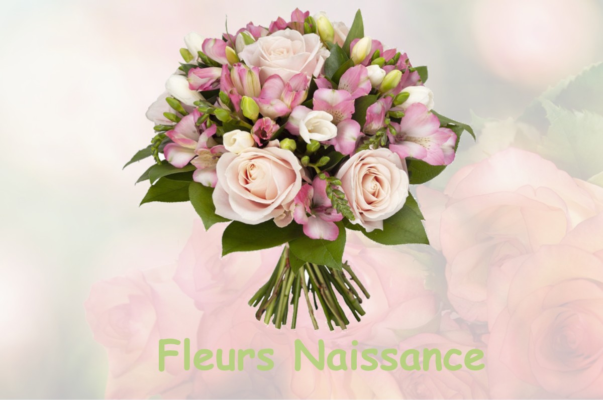 fleurs naissance BILLECUL