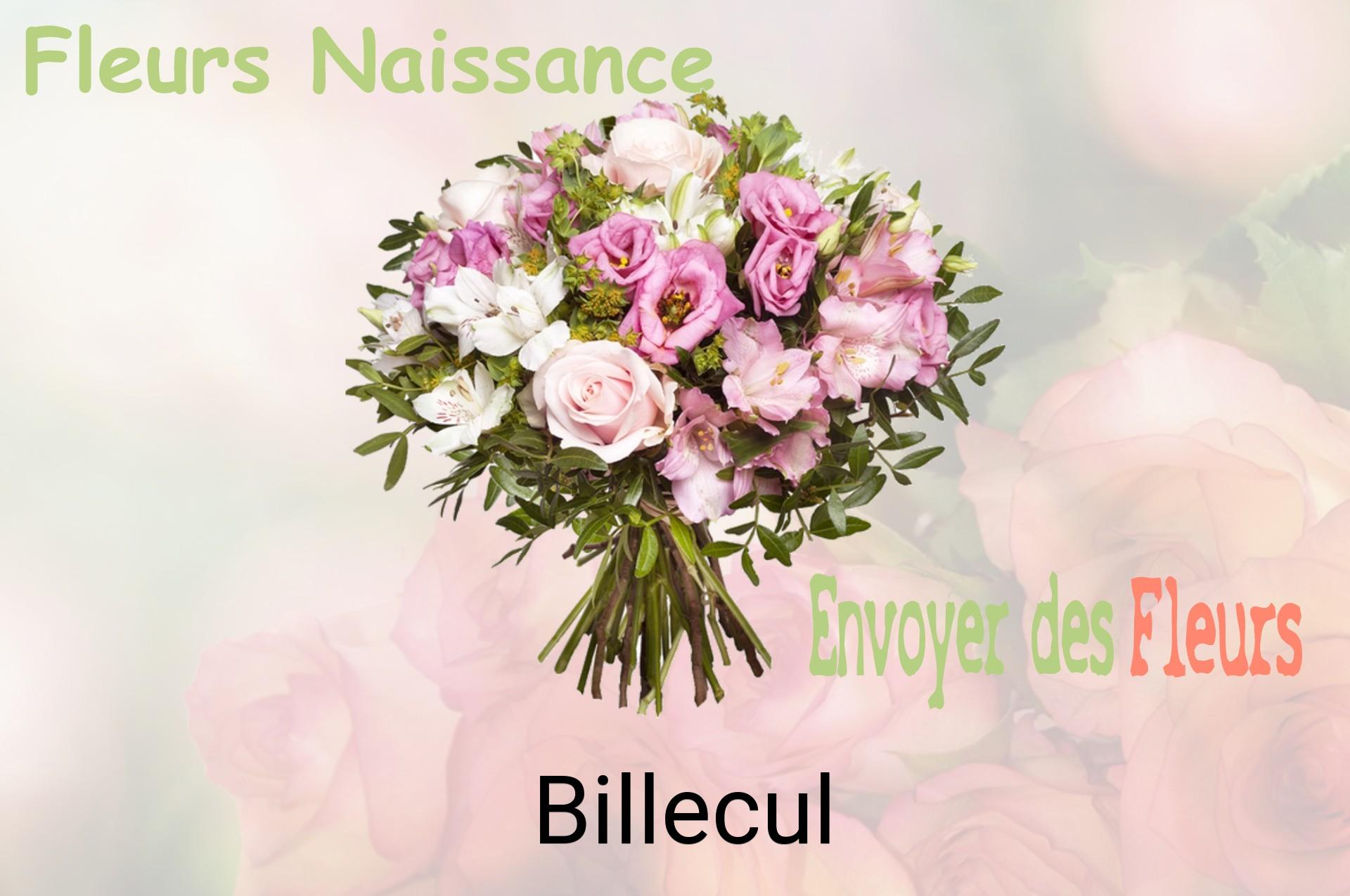 Bouquet de fleurs de naissance livré à Billecul