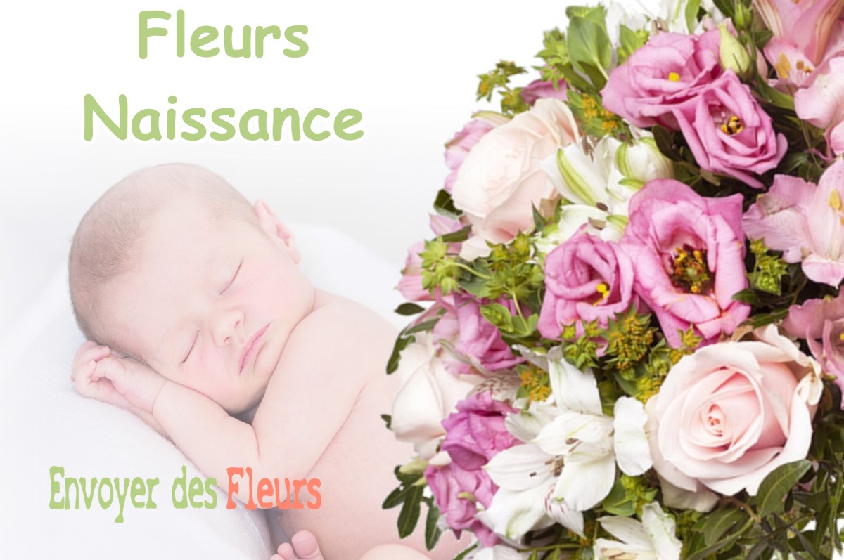 lIVRAISON FLEURS NAISSANCE à BILLECUL